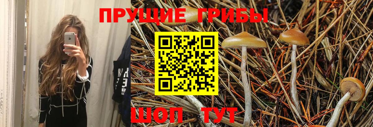 Галлюциногенные грибы MAGIC MUSHROOMS  Галлюциногенные грибы GOLDEN TEACHER  Киселёвск  Вход с VPN 